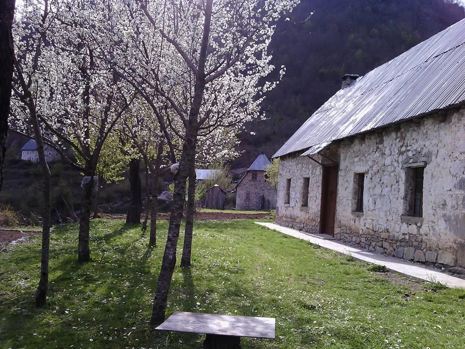 Syri I Kalter Kaprre Otel Theth Dış mekan fotoğraf